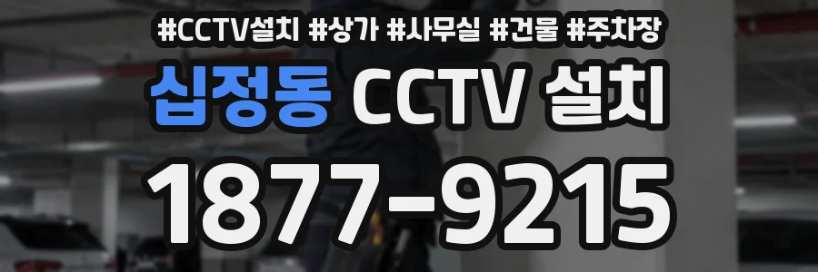 십정동 CCTV 설치