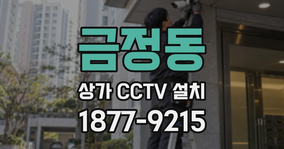금정동 상가 CCTV 설치