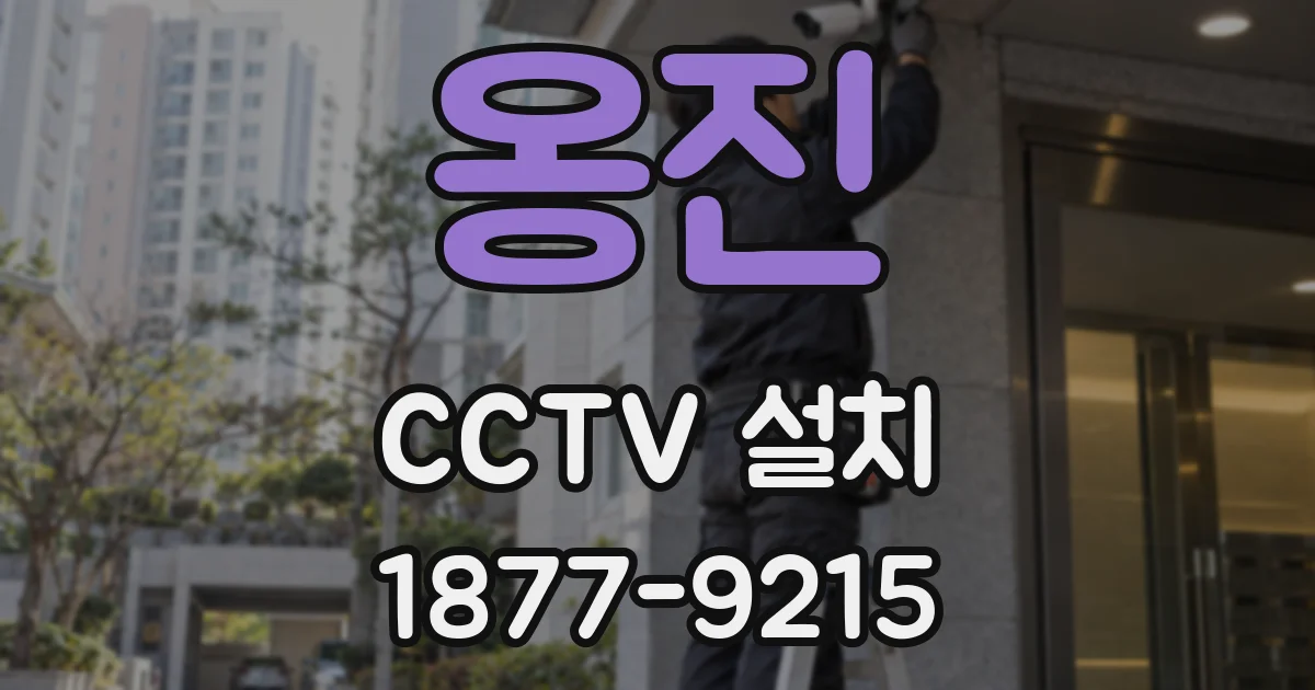 옹진 CCTV 설치