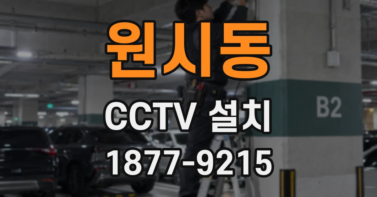 원시동 CCTV 설치