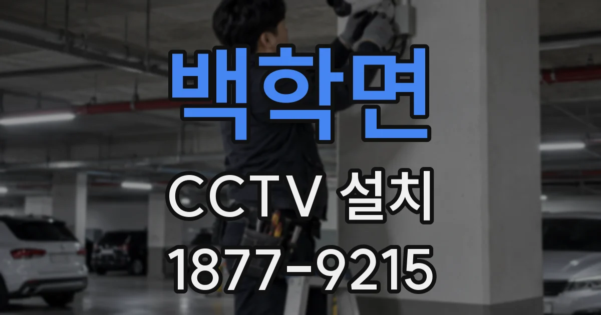 백학면 CCTV 설치