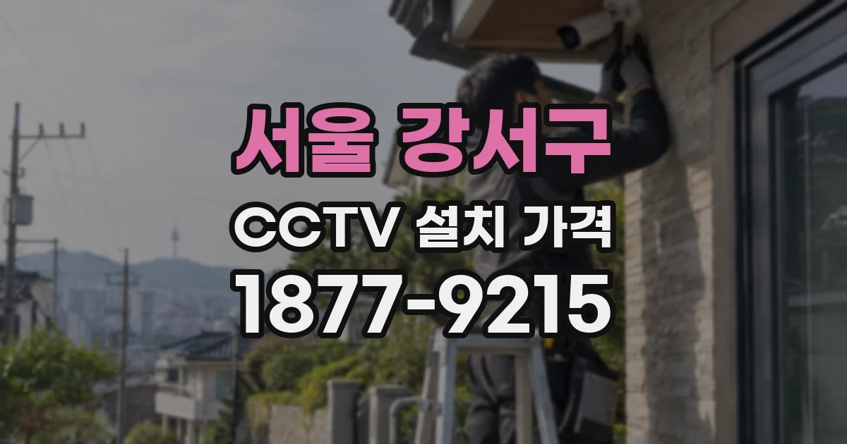 서울 강서구 CCTV 설치 가격