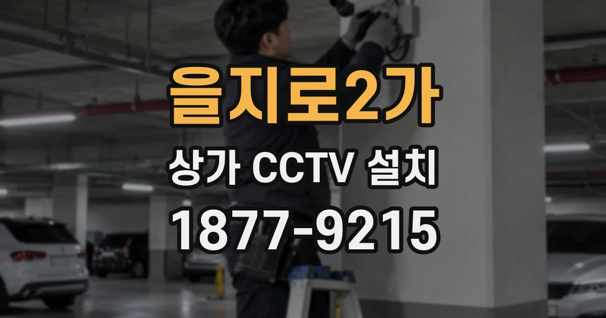 을지로2가 상가 CCTV 설치