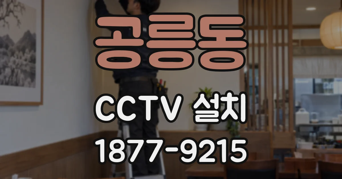 공릉동 CCTV 설치