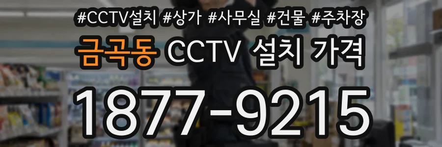 금곡동 CCTV 설치 가격