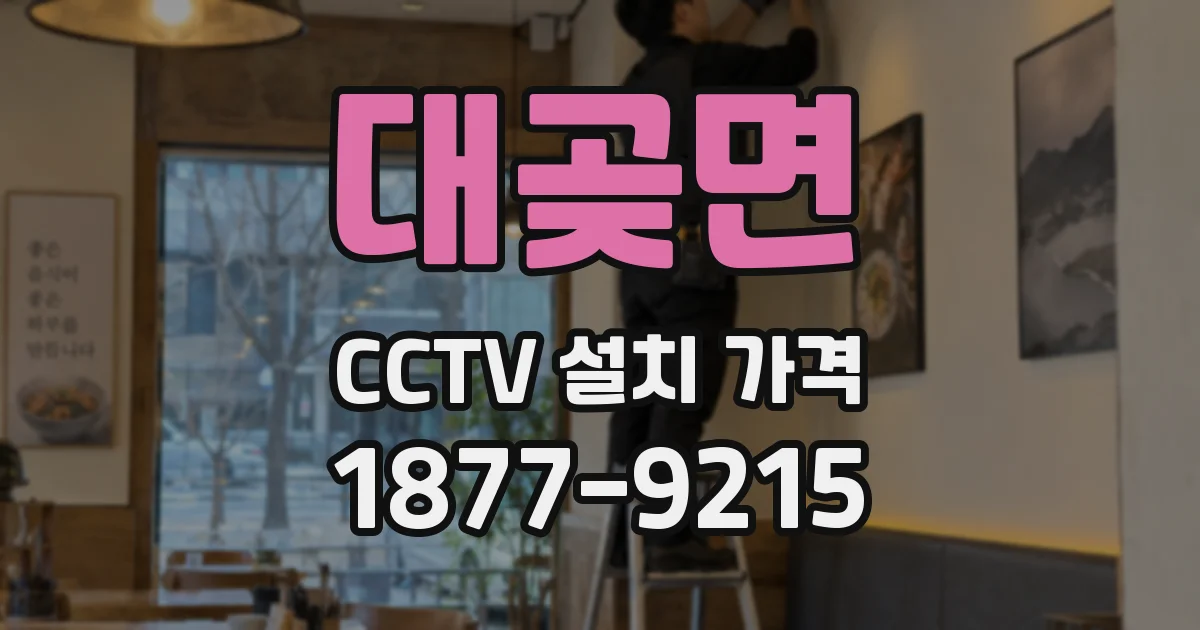 대곶면 CCTV 설치 가격