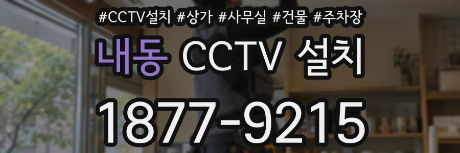 내동 CCTV 설치