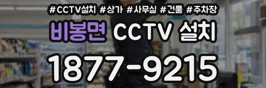 비봉면 CCTV 설치