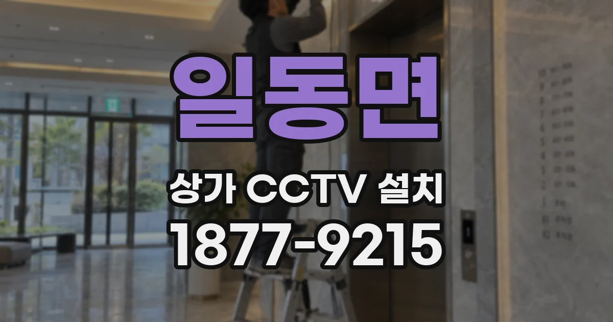 일동면 상가 CCTV 설치