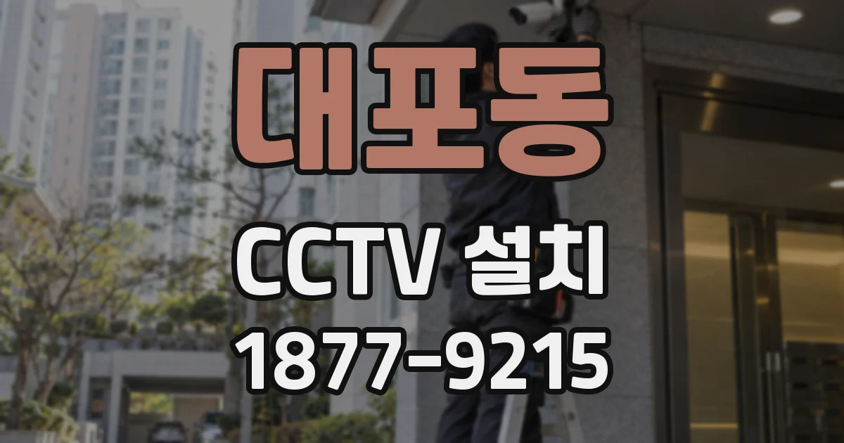 대포동 CCTV 설치