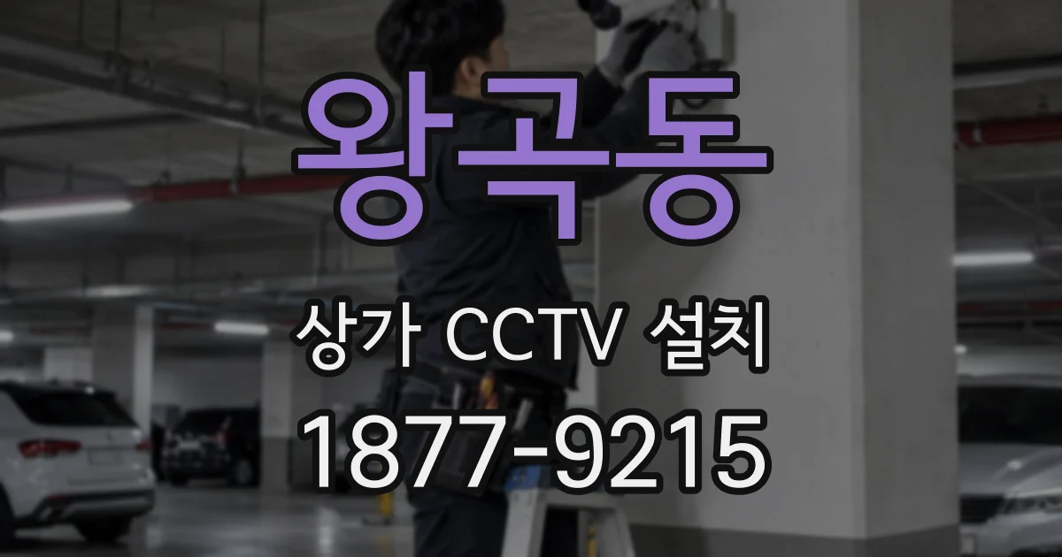왕곡동 상가 CCTV 설치