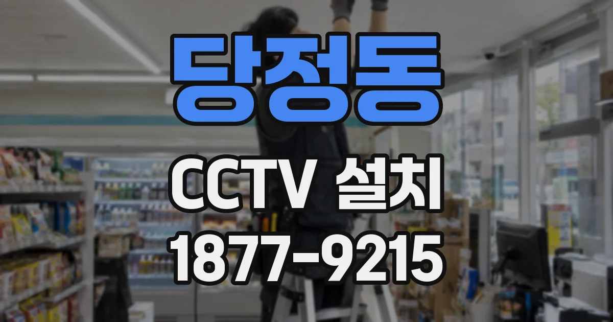 당정동 CCTV 설치