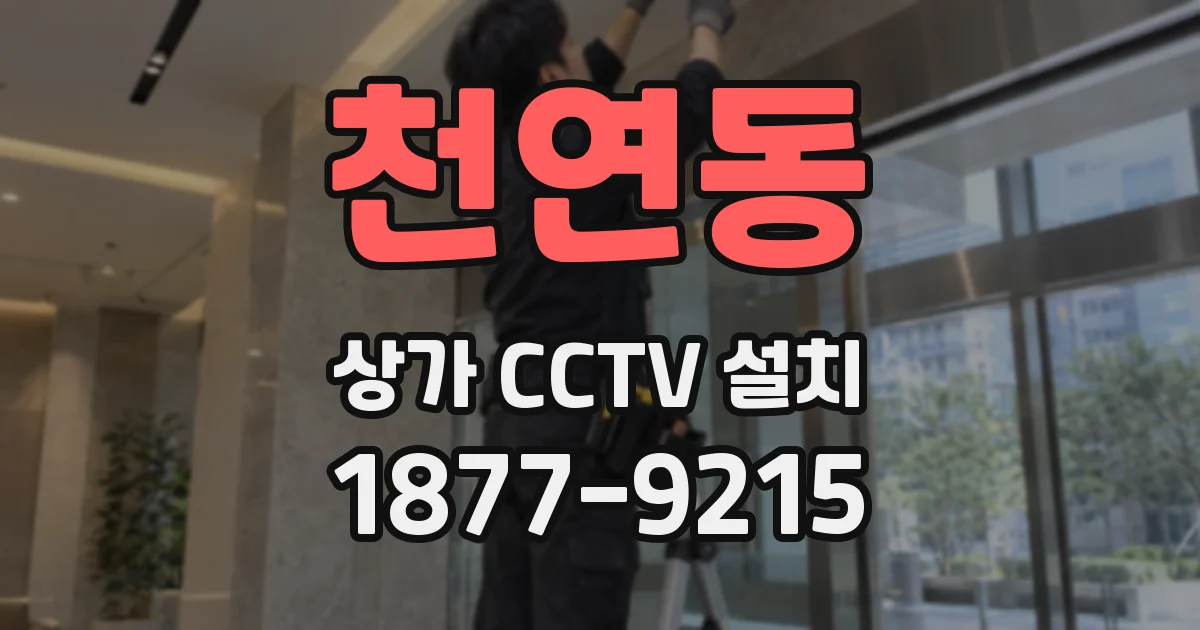 천연동 상가 CCTV 설치