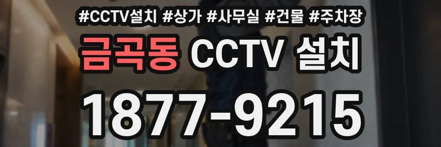 금곡동 CCTV 설치