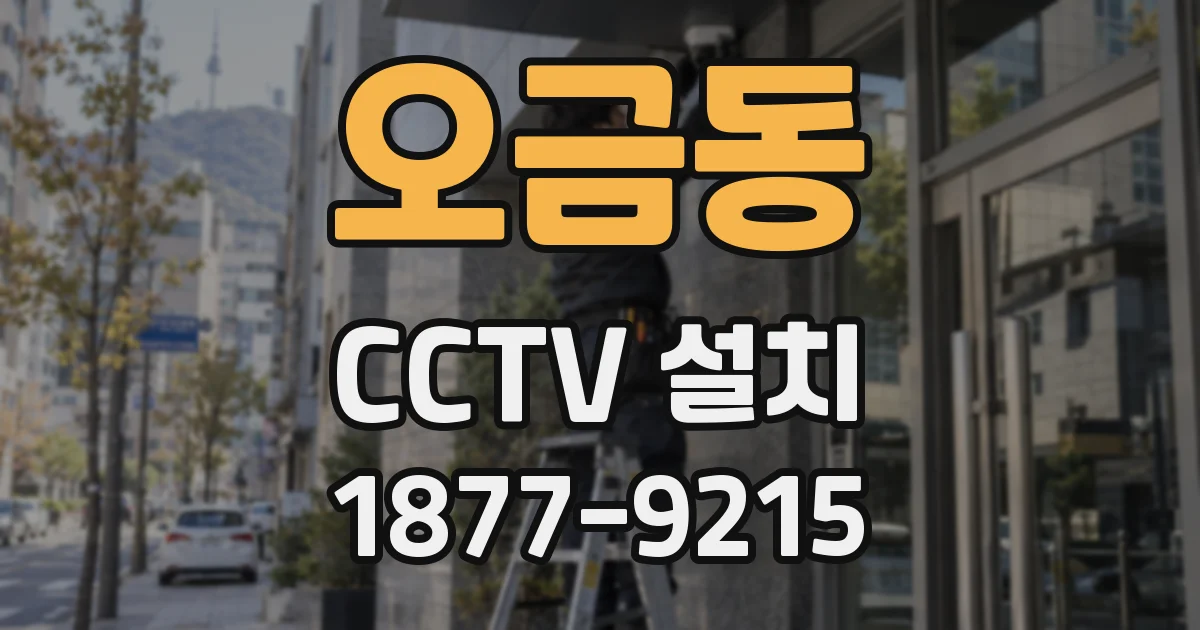 오금동 CCTV 설치