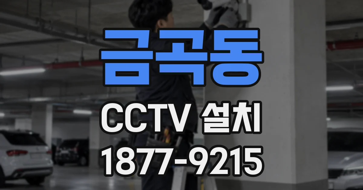 금곡동 CCTV 설치