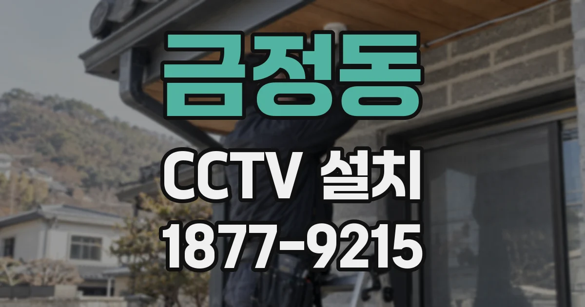 금정동 CCTV 설치