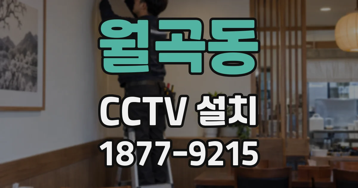 월곡동 CCTV 설치