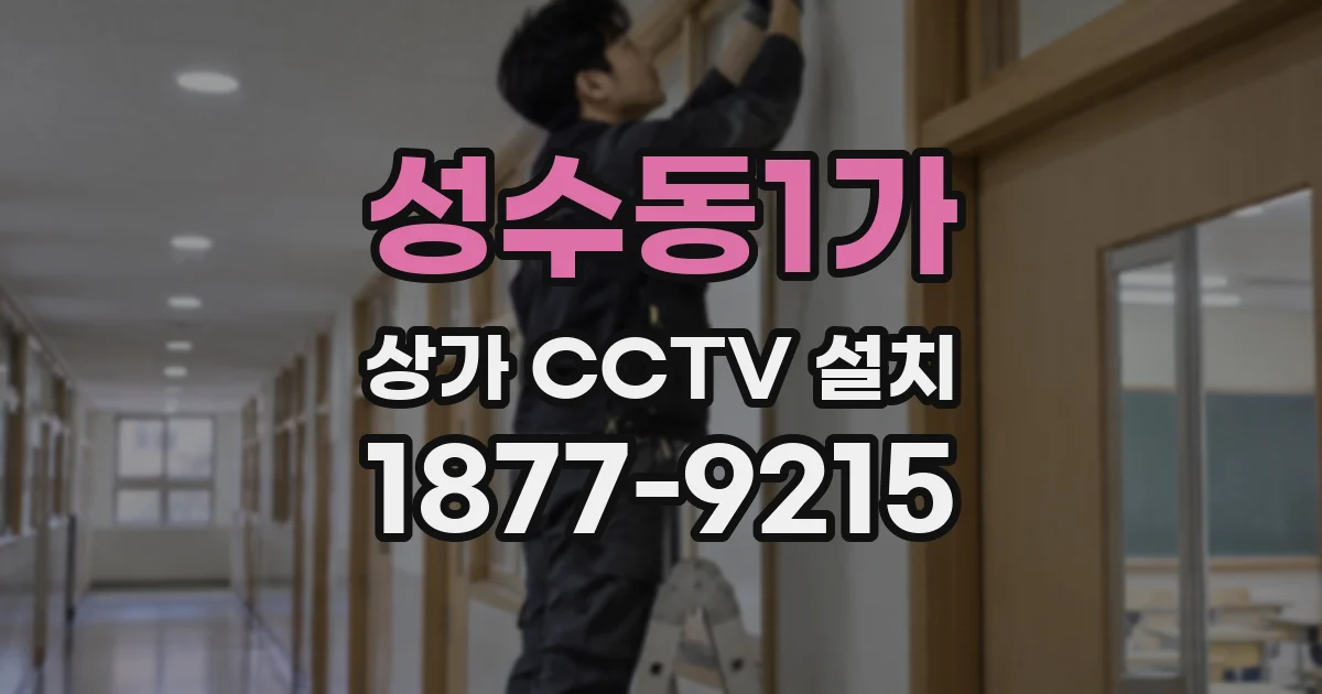 성수동1가 상가 CCTV 설치