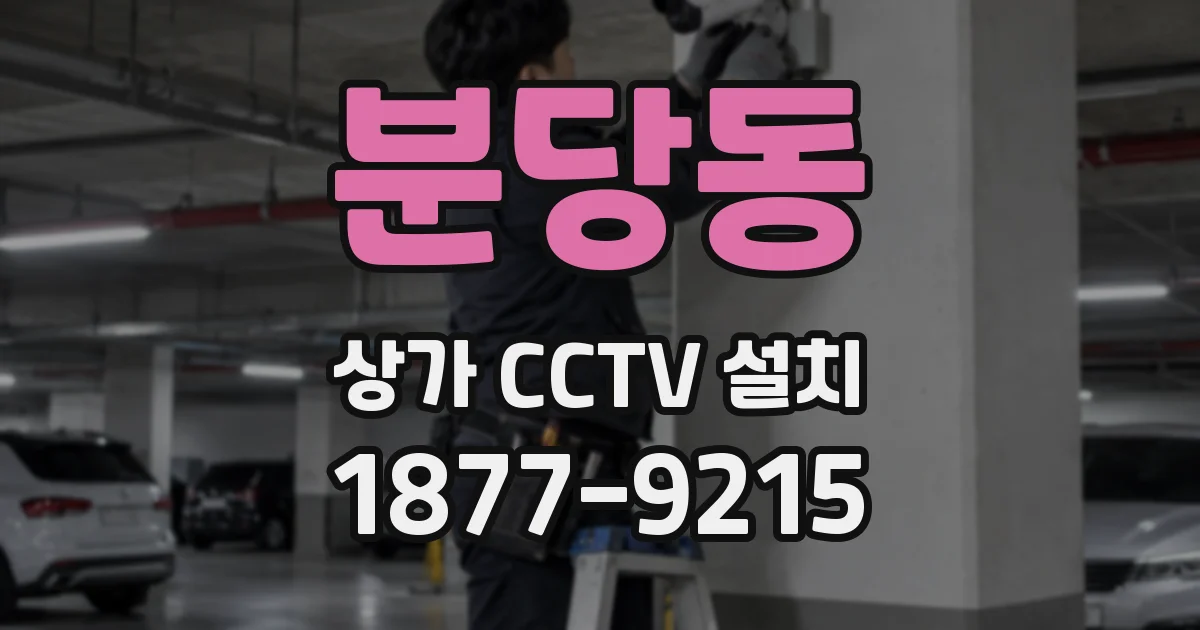 분당동 상가 CCTV 설치