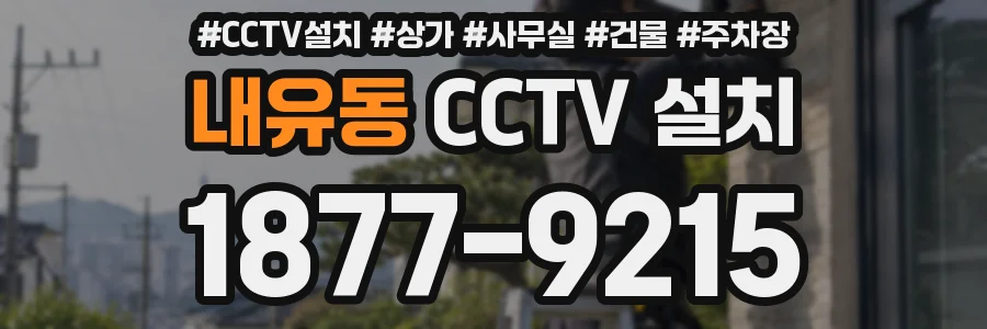 내유동 CCTV 설치