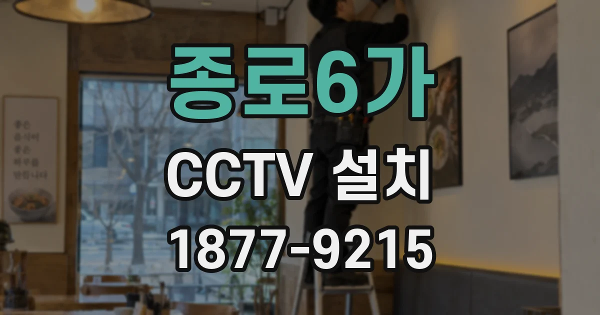 종로6가 CCTV 설치