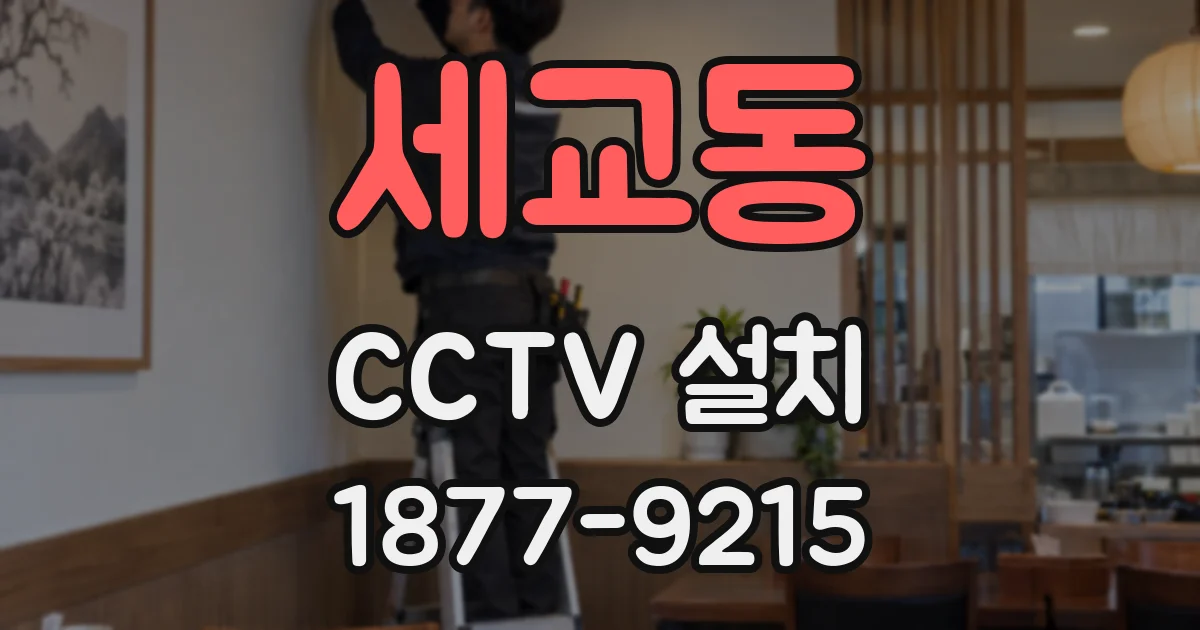세교동 CCTV 설치