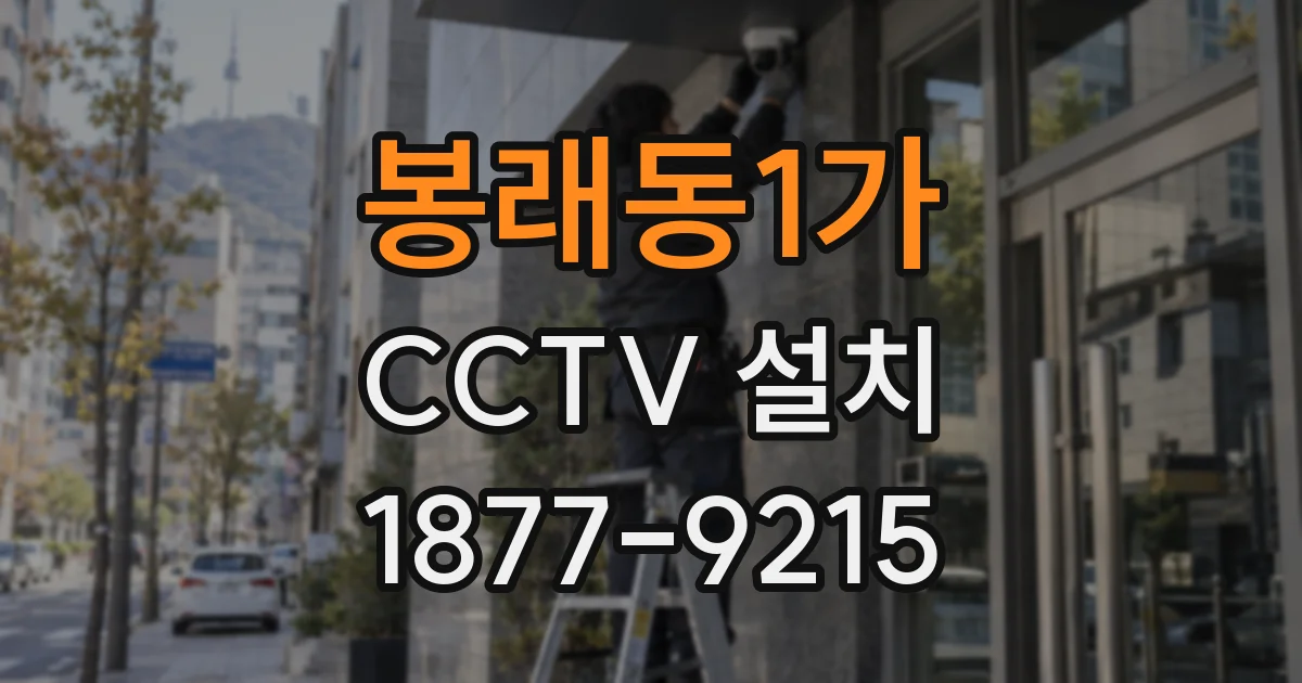 봉래동1가 CCTV 설치