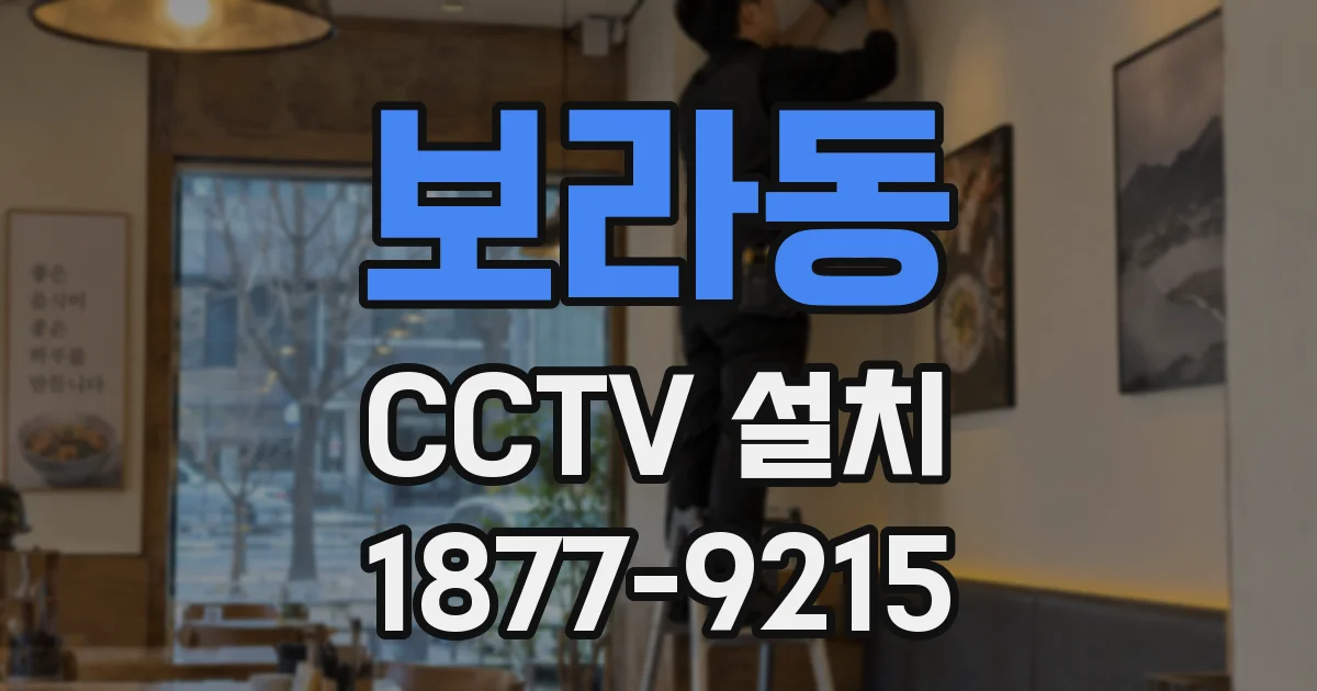 보라동 CCTV 설치