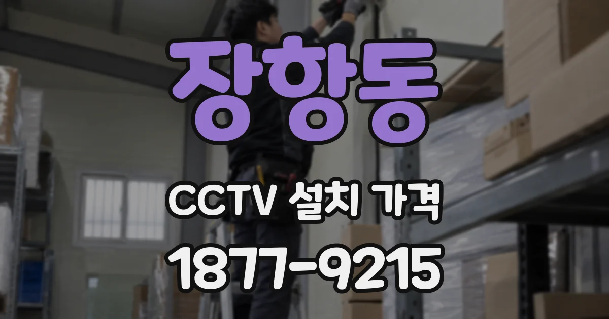 장항동 CCTV 설치 가격