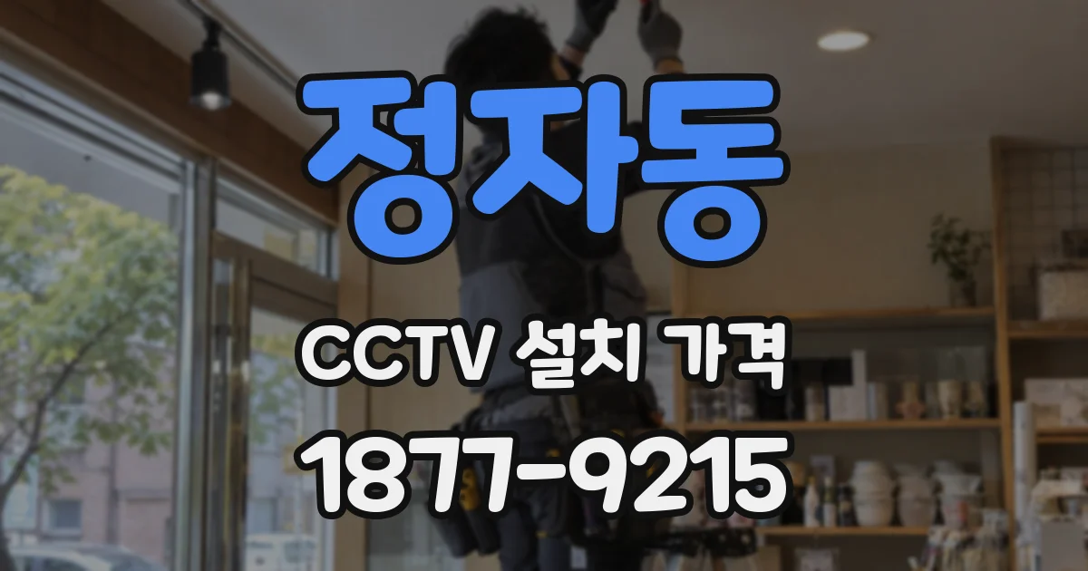 정자동 CCTV 설치 가격