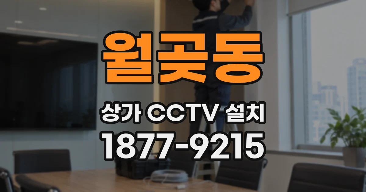 월곶동 상가 CCTV 설치