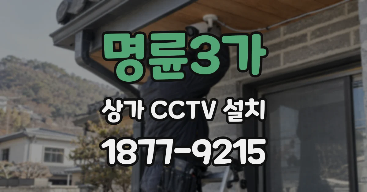 명륜3가 상가 CCTV 설치