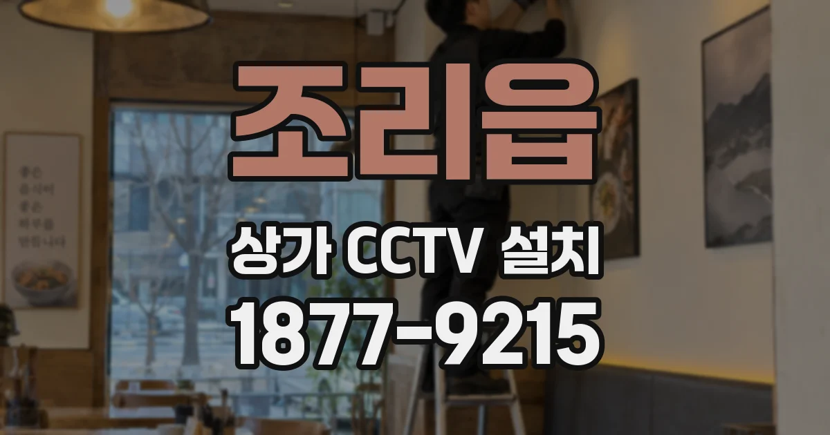 조리읍 상가 CCTV 설치