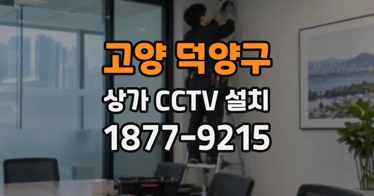 고양 덕양구 상가 CCTV 설치