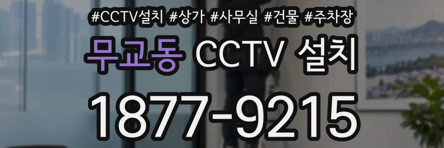 무교동 CCTV 설치