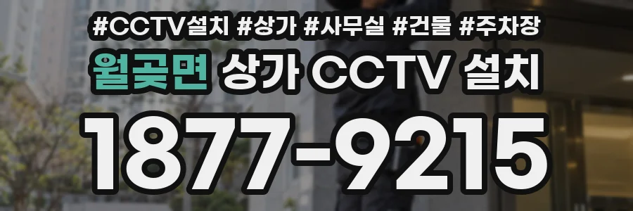 월곶면 상가 CCTV 설치