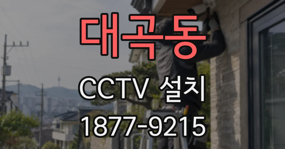 대곡동 CCTV 설치
