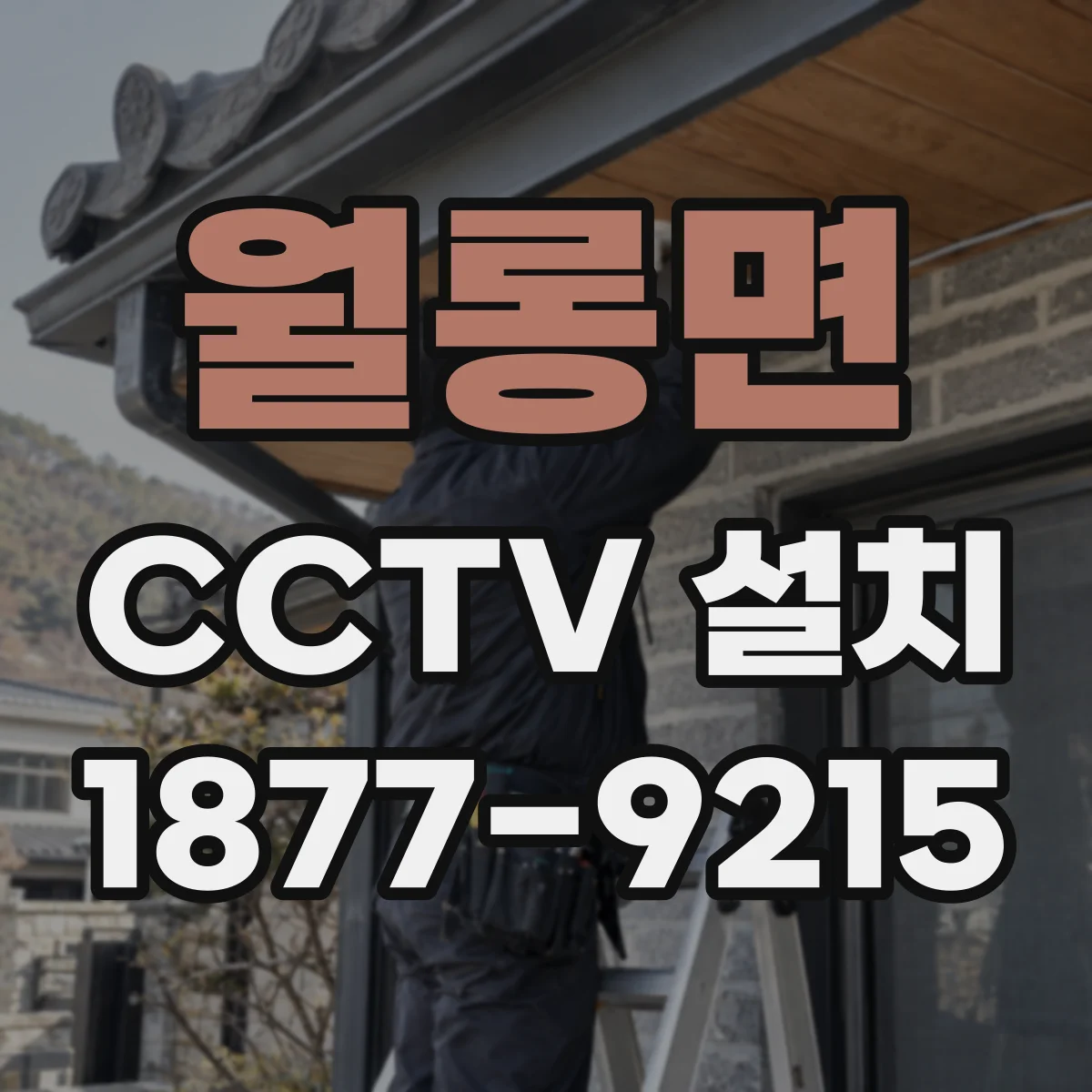 월롱면 CCTV 설치