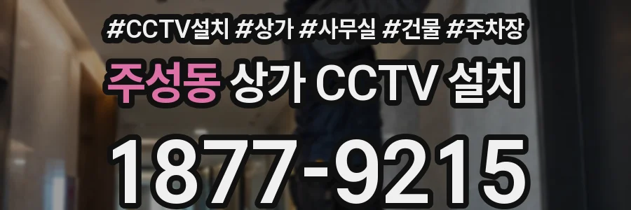 주성동 상가 CCTV 설치