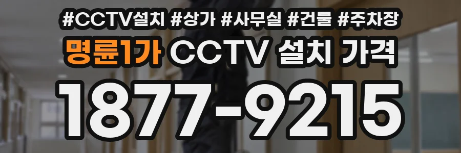 명륜1가 CCTV 설치 가격