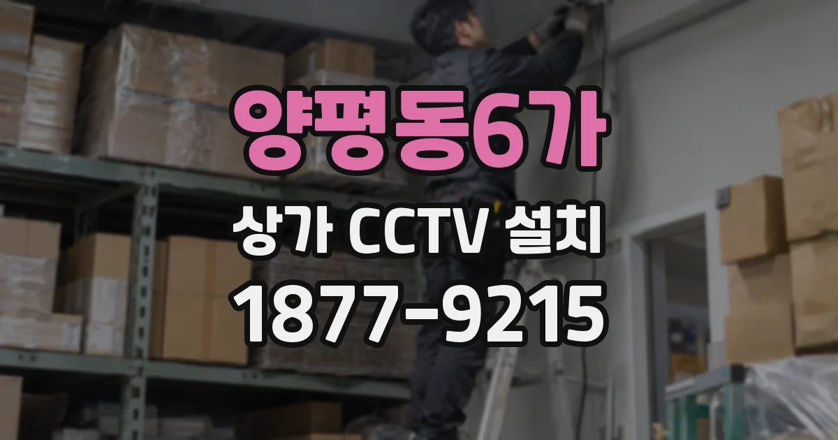 양평동6가 상가 CCTV 설치
