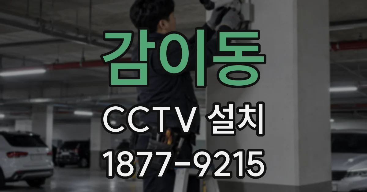 감이동 CCTV 설치