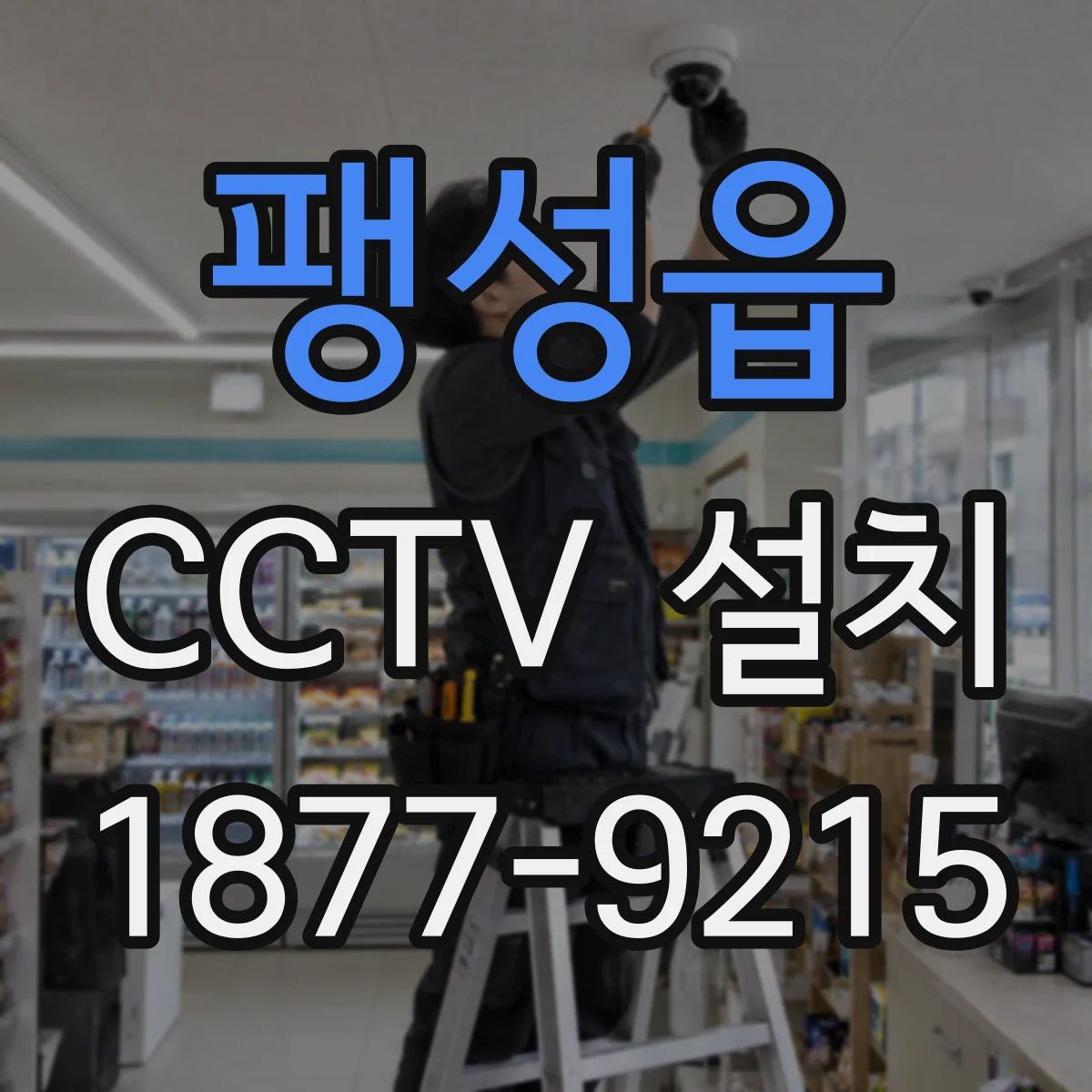 팽성읍 CCTV 설치