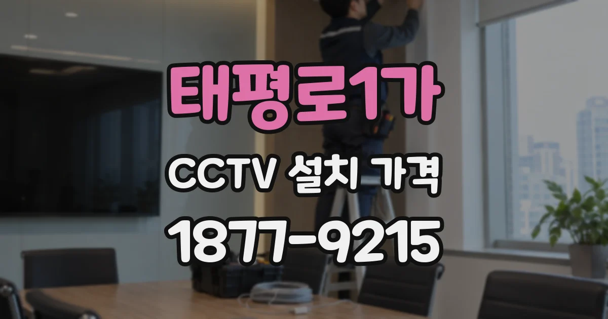 태평로1가 CCTV 설치 가격