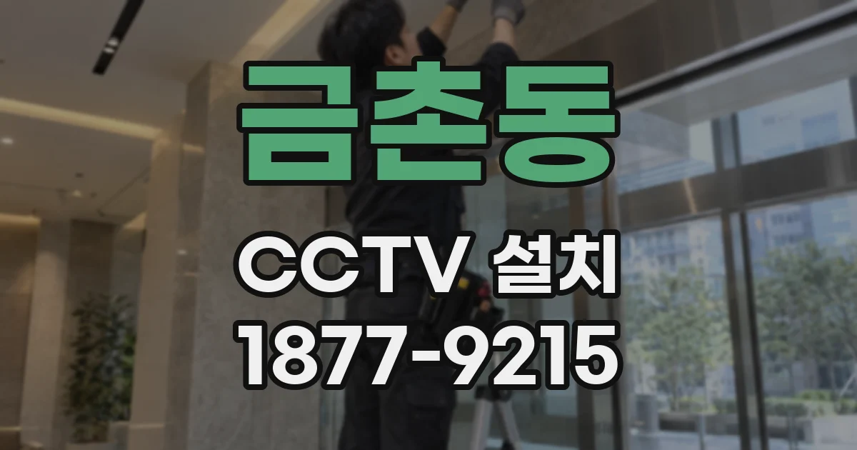 금촌동 CCTV 설치