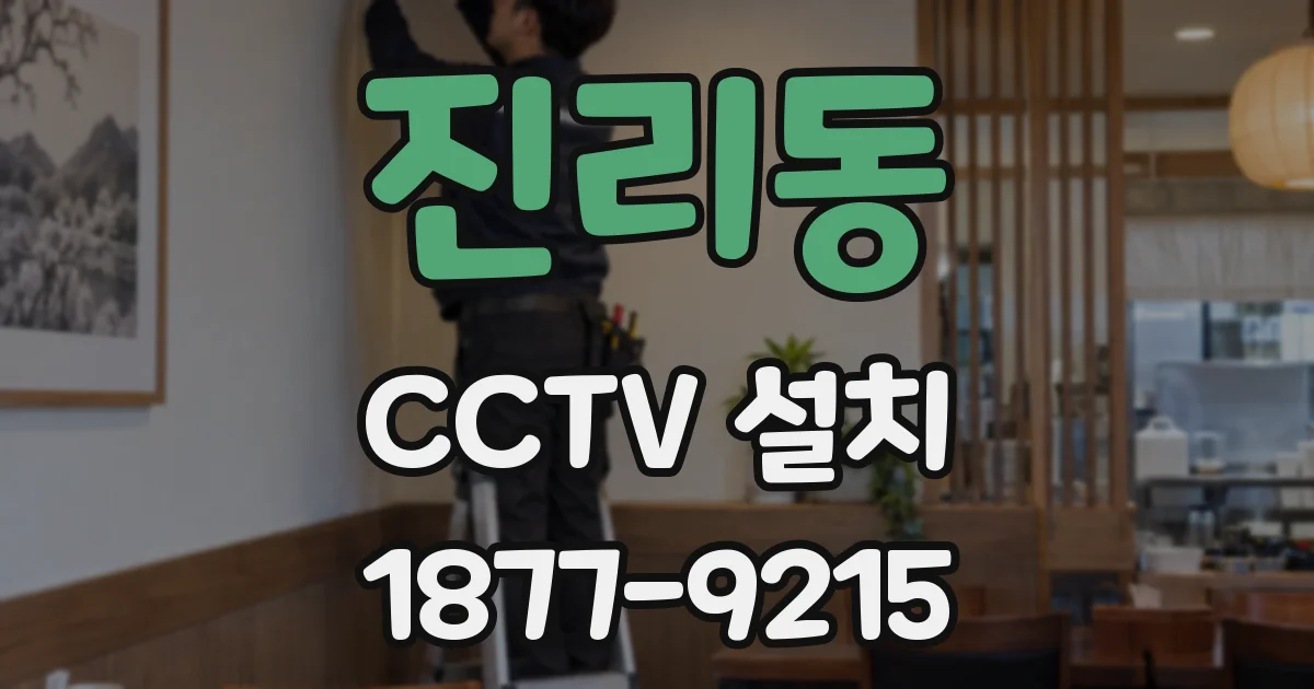 진리동 CCTV 설치