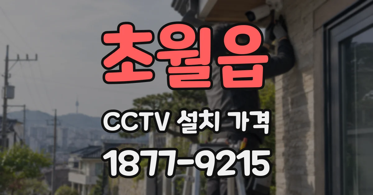 초월읍 CCTV 설치 가격