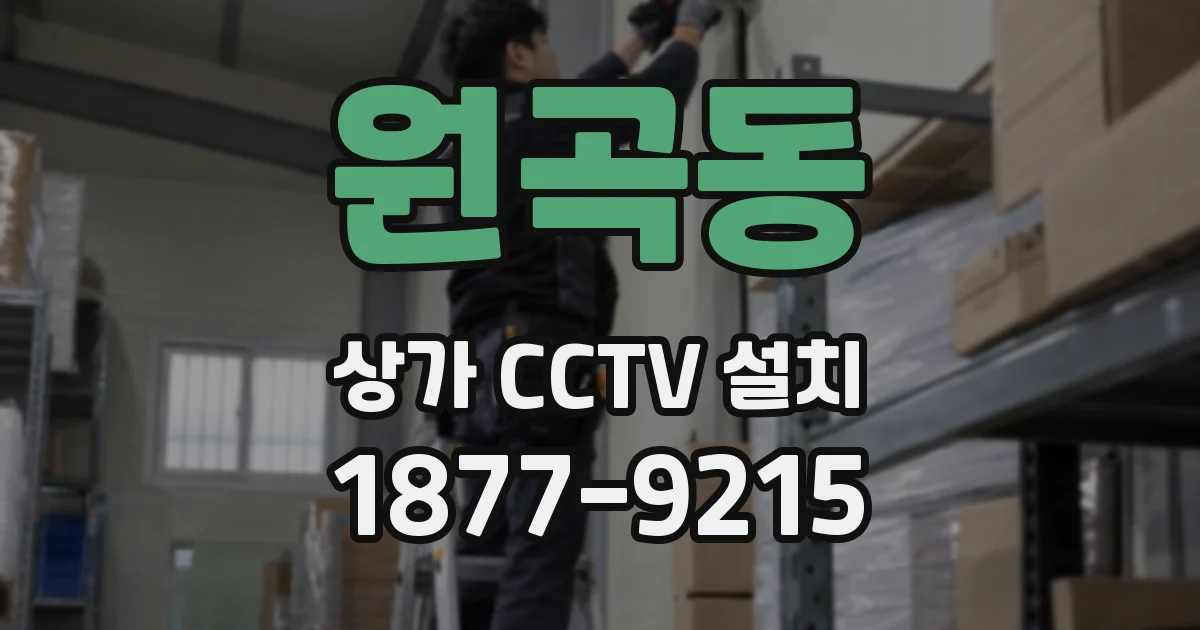 원곡동 상가 CCTV 설치