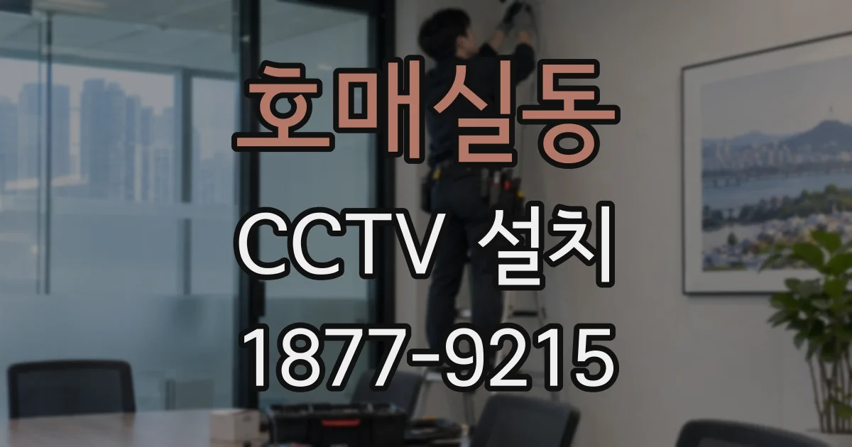호매실동 CCTV 설치